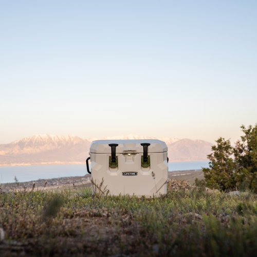 Lifetime 28 Quarts Ice Chest Cooler , PumiceStone/Black & Reviews Wayfair
